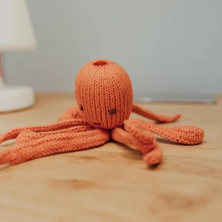 Brachvogel Obergeschoss Appartement