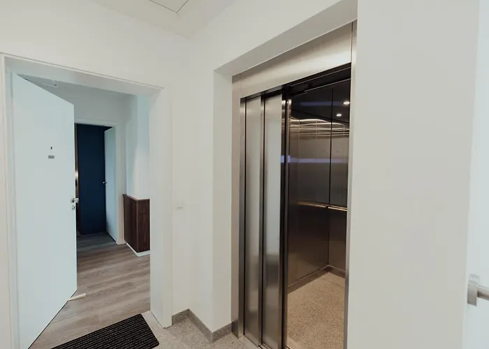 Brachvogel Obergeschoss * 霍克西尔