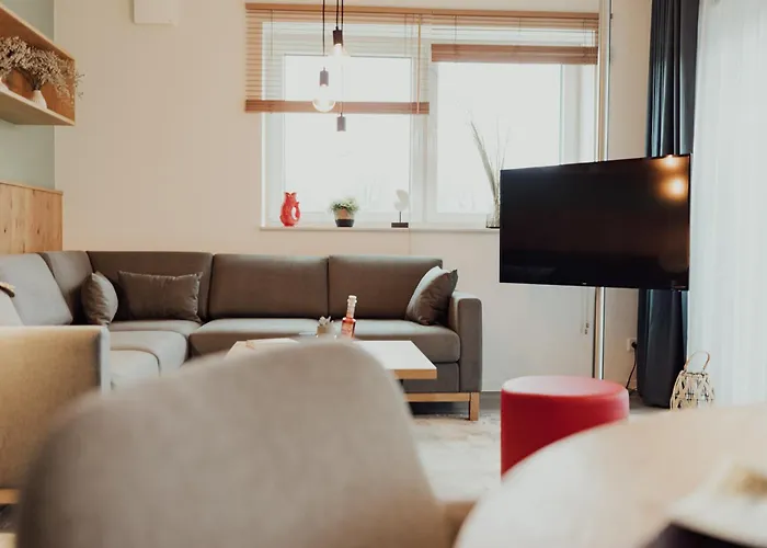 Brachvogel Obergeschoss * 霍克西尔